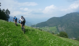 Transalp